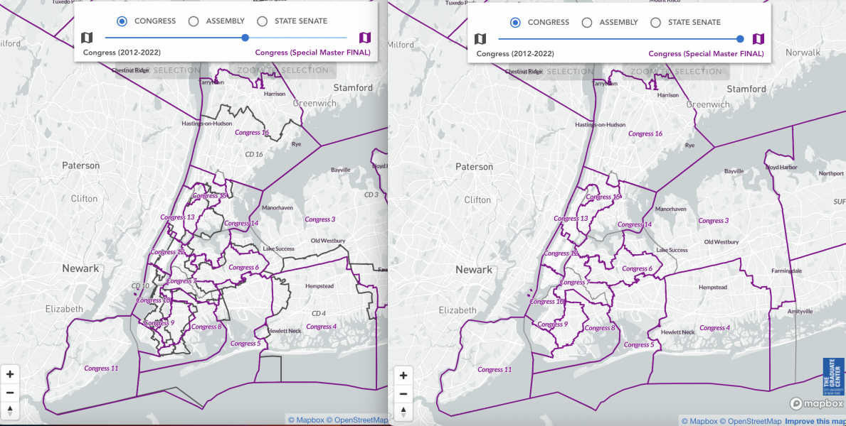 E316 - NY Redistricting & You (Audrey Liu)