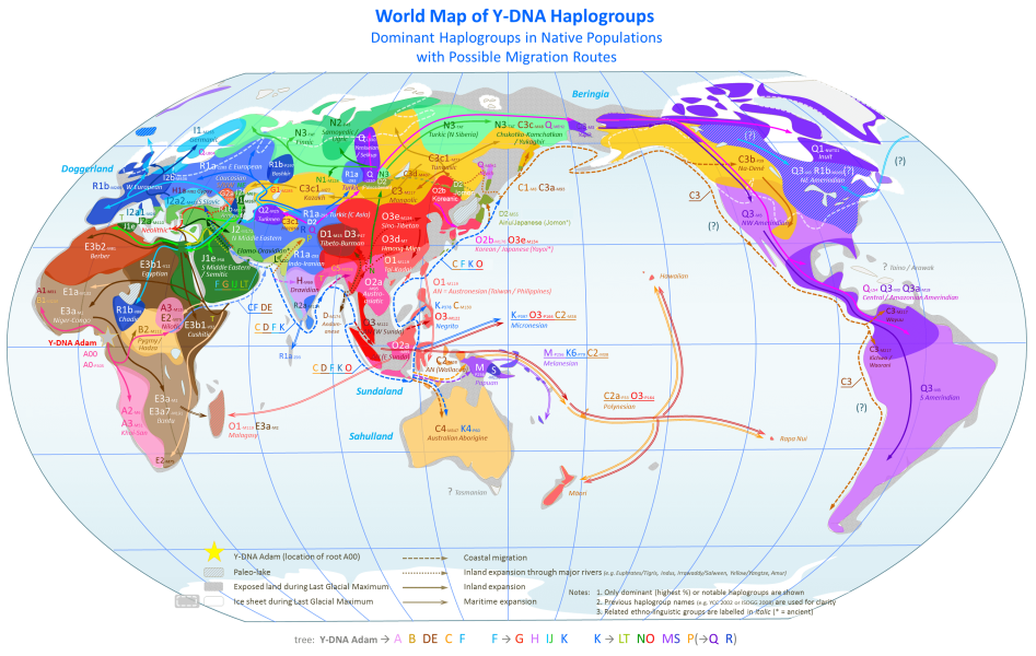 Speculation - Y-DNA Haplogroups & Migration Routes - Brandon Joung