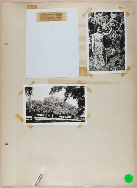 E687 - Lewis Scrapbook #3 - E675 - i5037