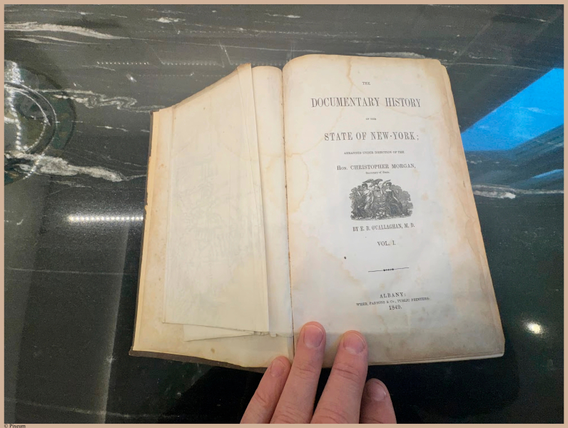 E695 - Documentary History of NY - i4542