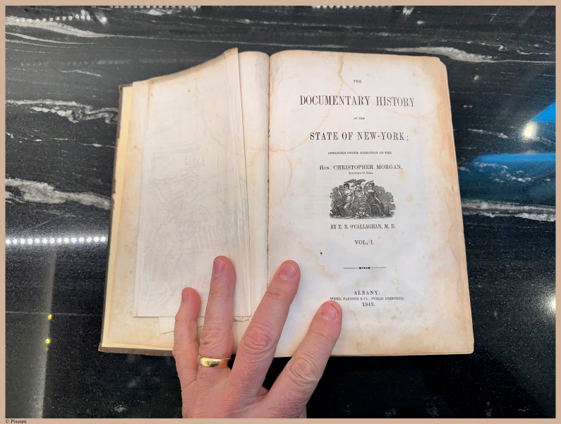 E695 - Documentary History of NY - i4546