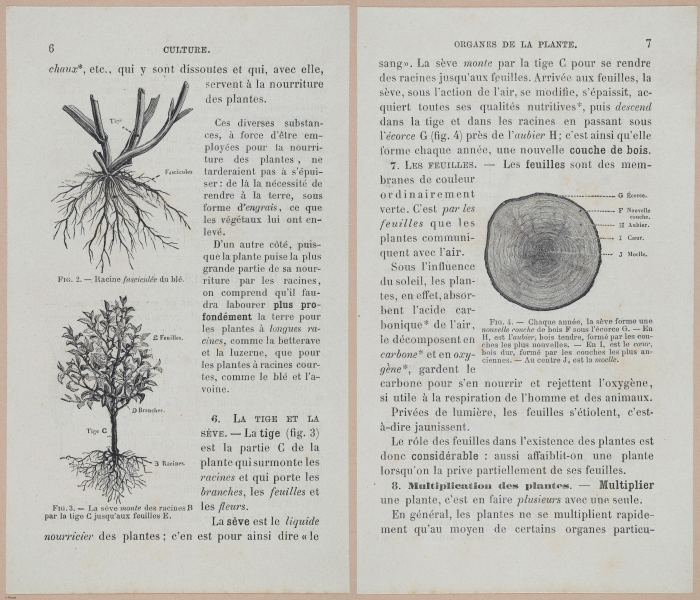  E694 - D'Agriculture - i6028-6029