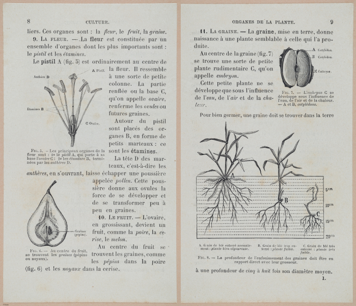  E694 - D'Agriculture - i6030-6031