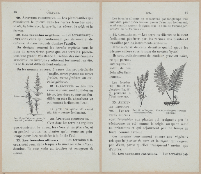  E694 - D'Agriculture - i6038-6039