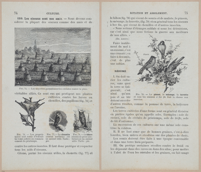  E694 - D'Agriculture - i6096-6097