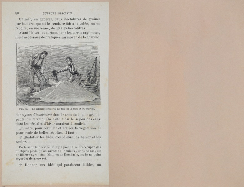  E694 - D'Agriculture - i6102