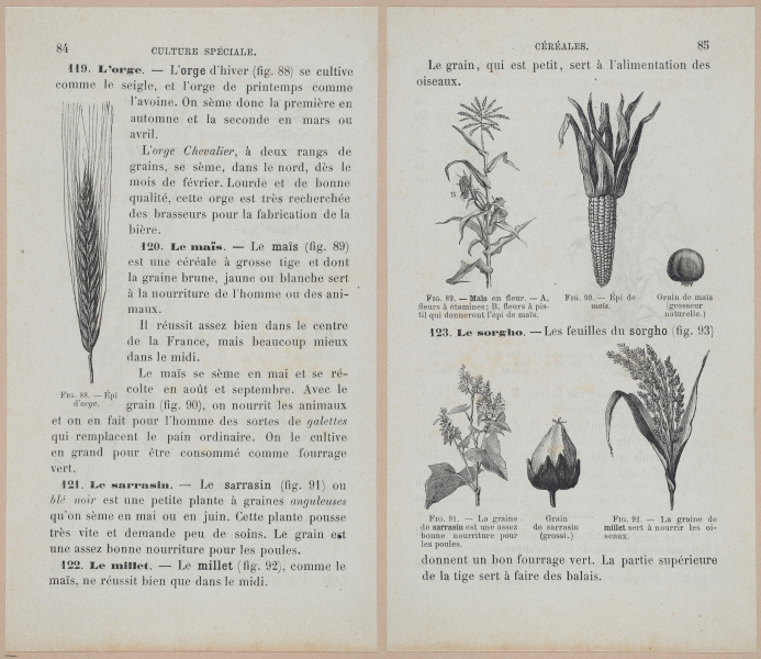  E694 - D'Agriculture - i6105-6106