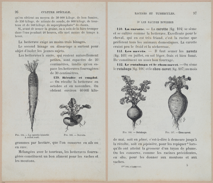  E694 - D'Agriculture - i6117-6118