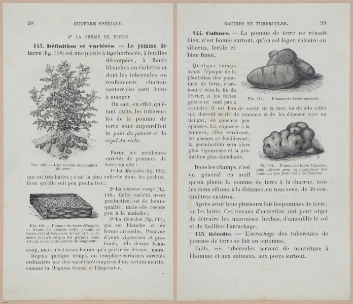  E694 - D'Agriculture - i6119-6120