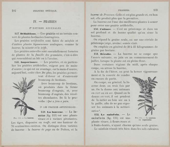  E694 - D'Agriculture - i6123-6124