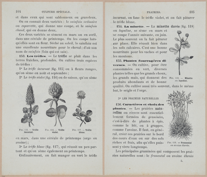  E694 - D'Agriculture - i6125-6126