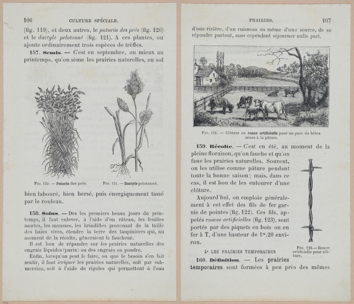  E694 - D'Agriculture - i6127-6128