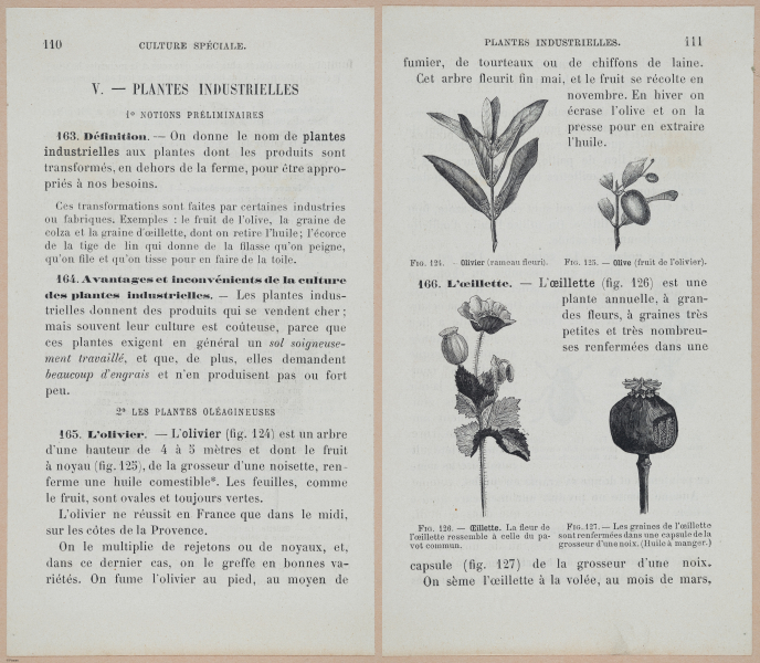 E694 - D'Agriculture - i6131-6132