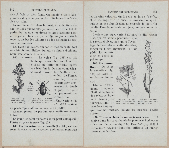  E694 - D'Agriculture - i6133-6134