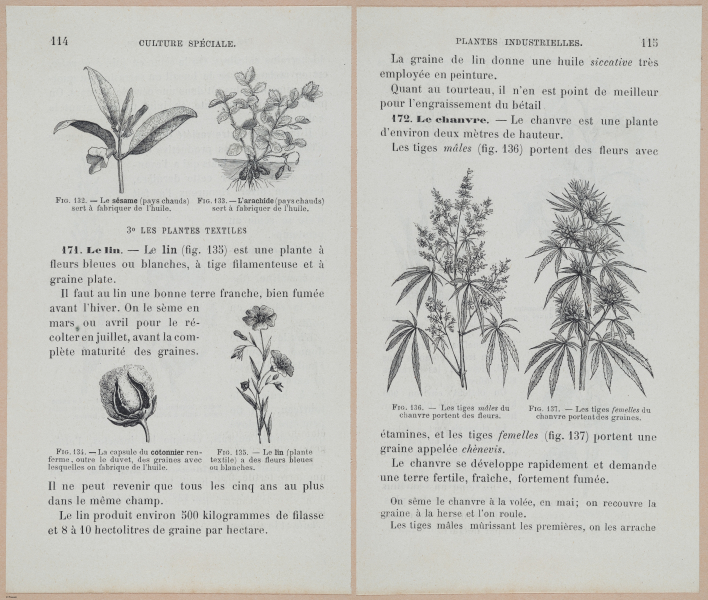  E694 - D'Agriculture - i6135-6136