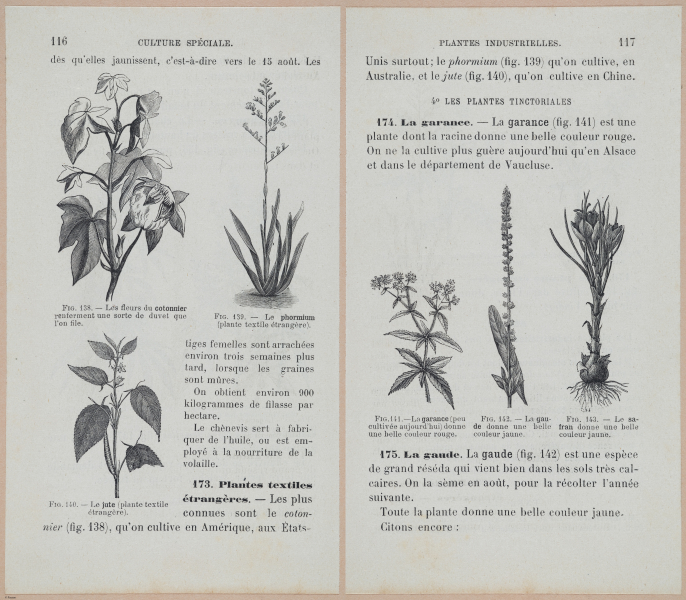  E694 - D'Agriculture - i6137-6138