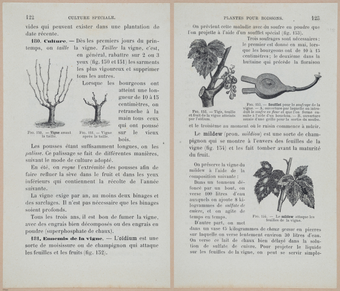  E694 - D'Agriculture - i6143-6144