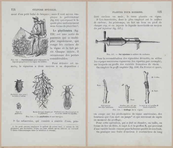  E694 - D'Agriculture - i6145-6146