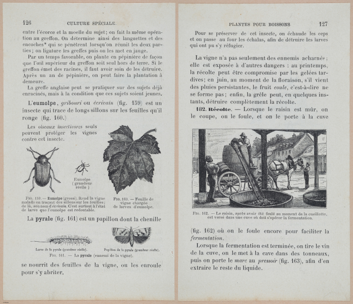  E694 - D'Agriculture - i6147-6148