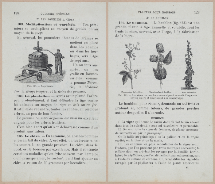  E694 - D'Agriculture - i6149-6150