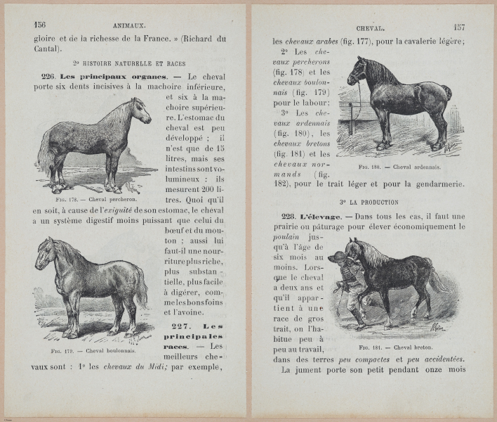  E694 - D'Agriculture - i6175-6176