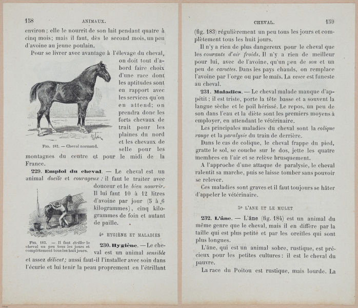  E694 - D'Agriculture - i6177-6178