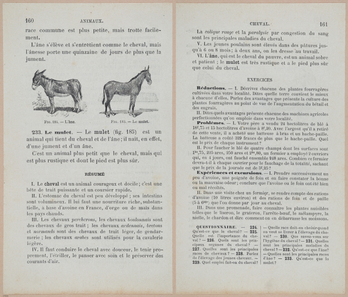  E694 - D'Agriculture - i6179-6180