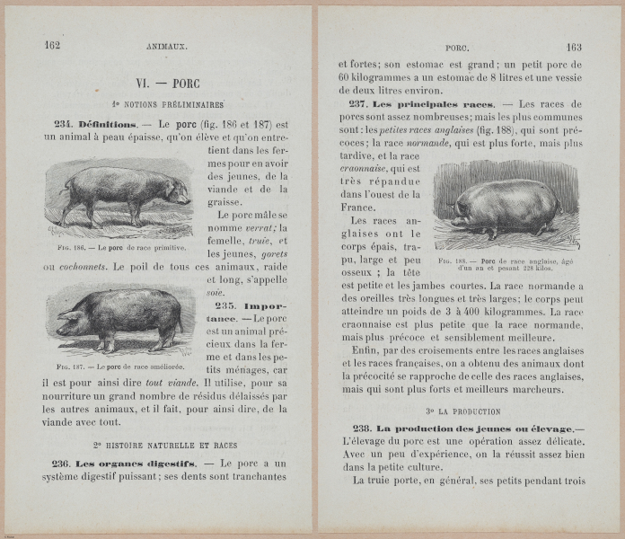  E694 - D'Agriculture - i6181-6182