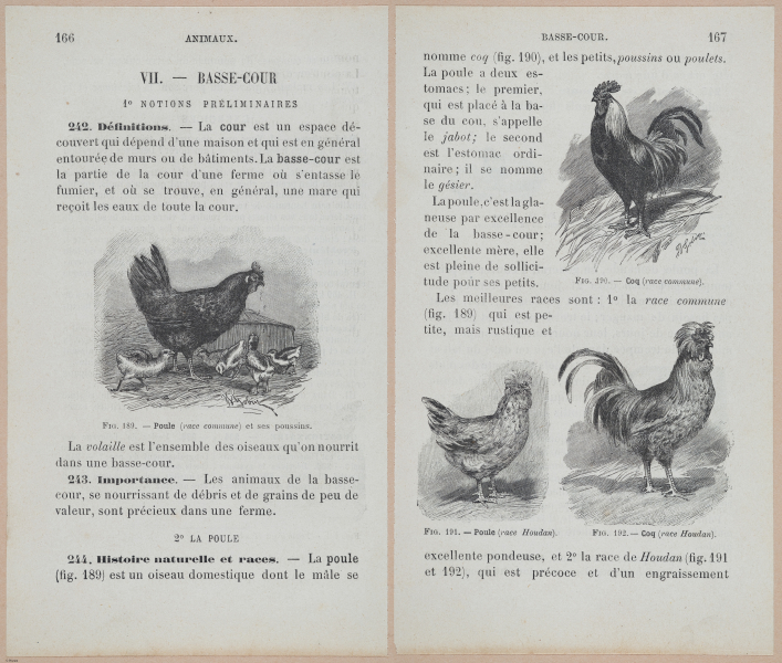  E694 - D'Agriculture - i6185-6186