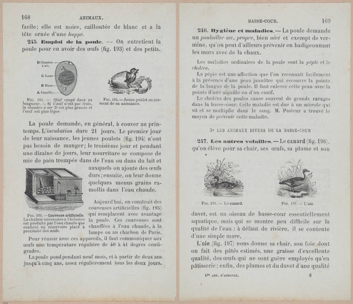  E694 - D'Agriculture - i6187-6188