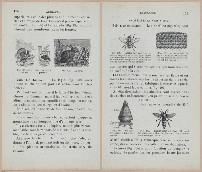  E694 - D'Agriculture - i6189-6190