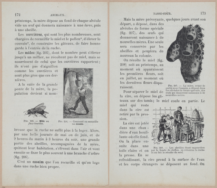  E694 - D'Agriculture - i6191-6192
