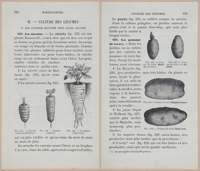  E694 - D'Agriculture - i6217-6218