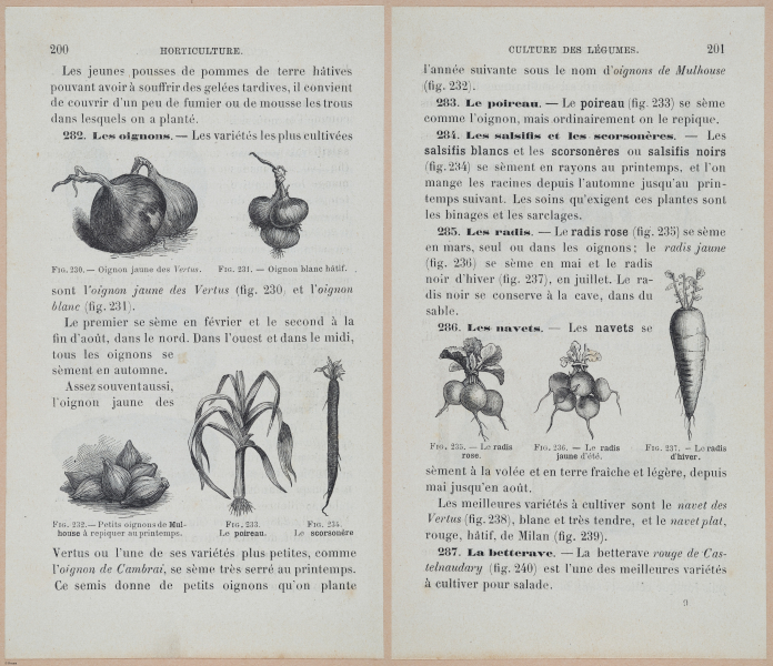  E694 - D'Agriculture - i6219-6220