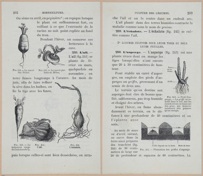  E694 - D'Agriculture - i6221-6222