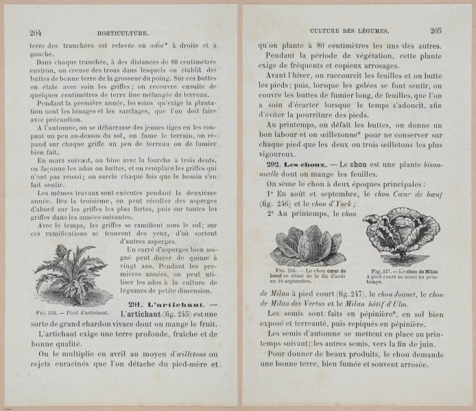  E694 - D'Agriculture - i6223-6224
