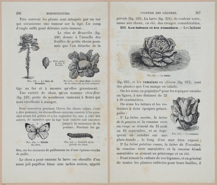  E694 - D'Agriculture - i6225-6226