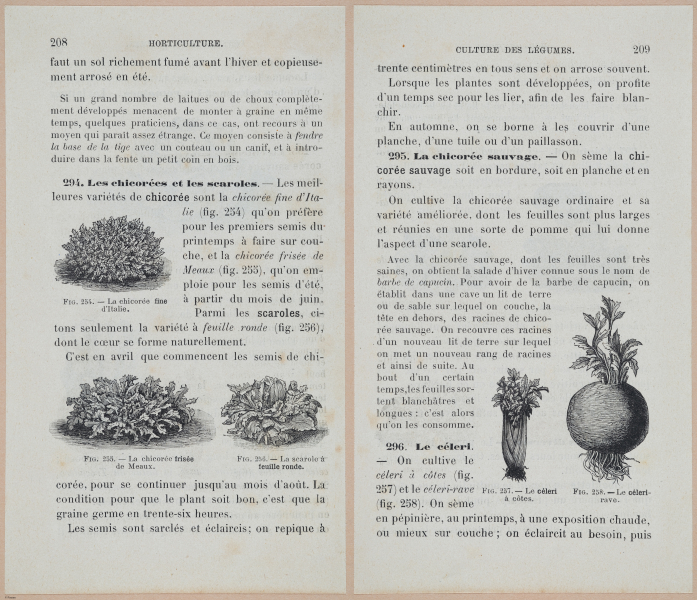  E694 - D'Agriculture - i6227-6228