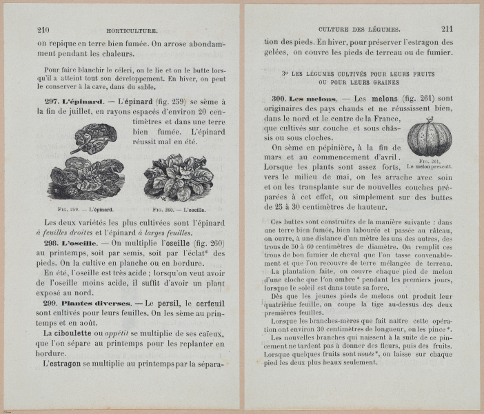  E694 - D'Agriculture - i6229-6230