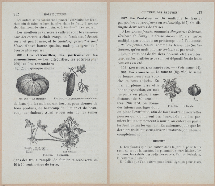  E694 - D'Agriculture - i6231-6232