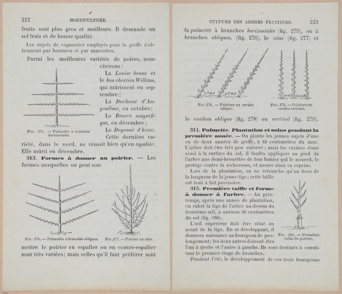  E694 - D'Agriculture - i6241-6242