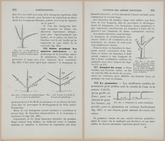  E694 - D'Agriculture - i6243-6244