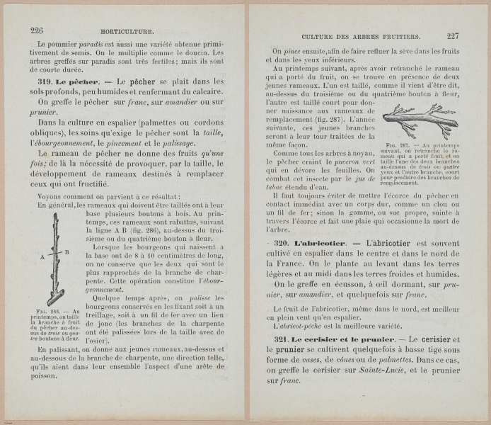  E694 - D'Agriculture - i6245-6246