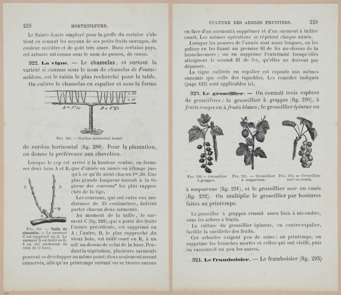  E694 - D'Agriculture - i6247-6248