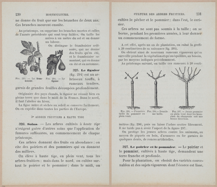  E694 - D'Agriculture - i6249-6250