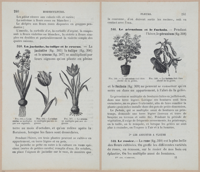  E694 - D'Agriculture - i6259-6260