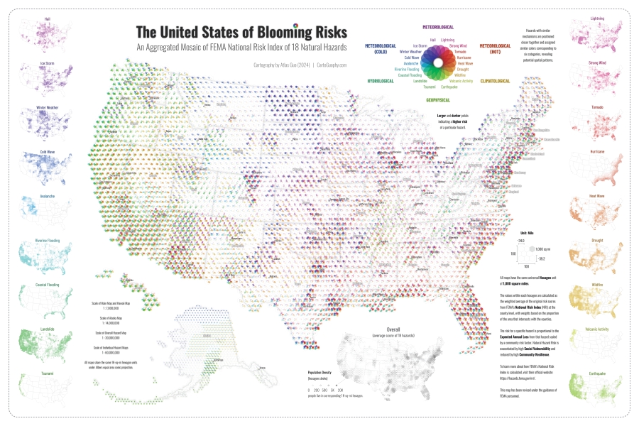 The United States of Blooming Risks - Dan Scollon