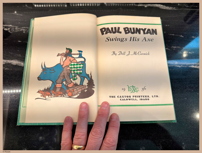 E703 - Paul Bunyan - i5030