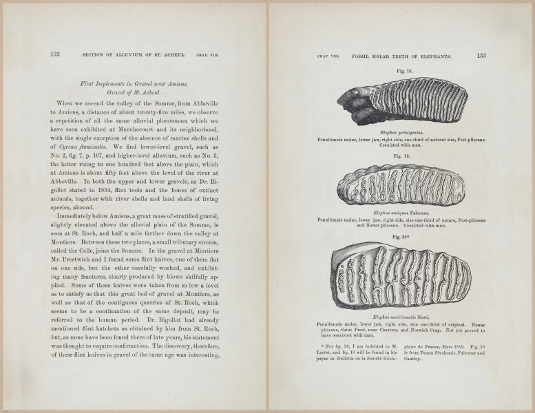 E624 - Charles Lyell - 0449-0450