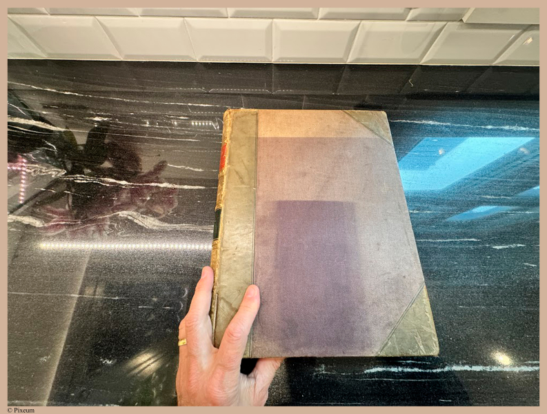 E720 - Pict Eur IV - i6046